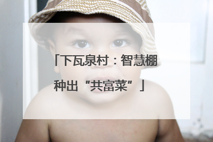 下瓦泉村：智慧棚种出“共富菜”