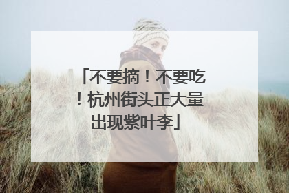 不要摘！不要吃！杭州街头正大量出现紫叶李