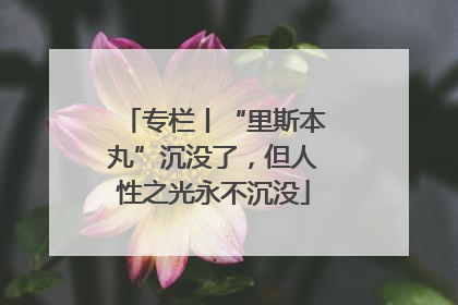 专栏丨“里斯本丸”沉没了，但人性之光永不沉没