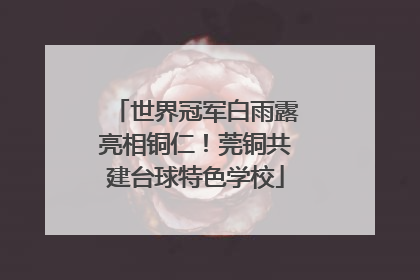 世界冠军白雨露亮相铜仁！莞铜共建台球特色学校