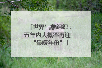 世界气象组织：五年内大概率再迎“最暖年份”