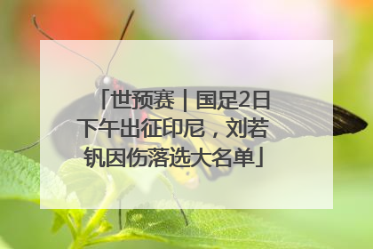 世预赛｜国足2日下午出征印尼，刘若钒因伤落选大名单