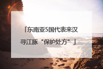 东南亚5国代表来汉寻江豚“保护处方”