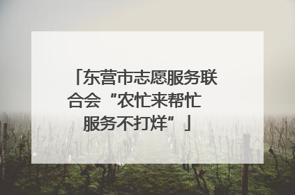 东营市志愿服务联合会“农忙来帮忙 服务不打烊”