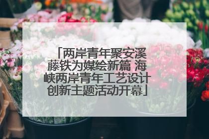 两岸青年聚安溪 藤铁为媒绘新篇 海峡两岸青年工艺设计创新主题活动开幕