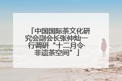 中国国际茶文化研究会副会长张仲灿一行调研“十二月令·非遗茶空间”