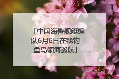 中国海警舰艇编队6月6日在我钓鱼岛领海巡航