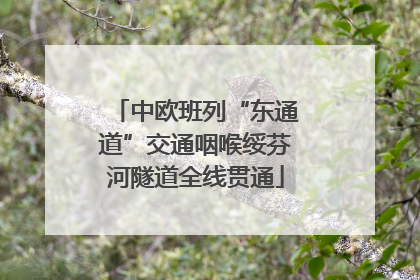 中欧班列“东通道”交通咽喉绥芬河隧道全线贯通