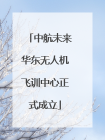 中航未来华东无人机飞训中心正式成立