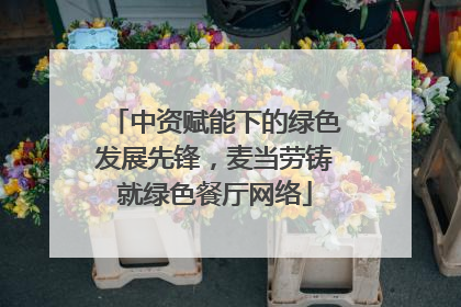 中资赋能下的绿色发展先锋，麦当劳铸就绿色餐厅网络