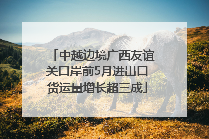 中越边境广西友谊关口岸前5月进出口货运量增长超三成