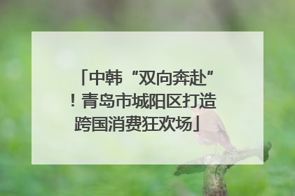 中韩“双向奔赴”！青岛市城阳区打造跨国消费狂欢场