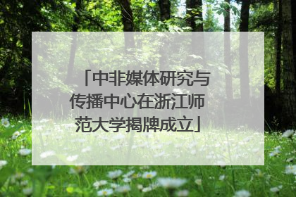 中非媒体研究与传播中心在浙江师范大学揭牌成立