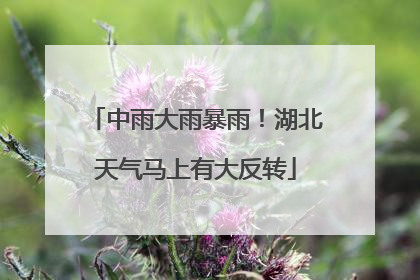 中雨大雨暴雨！湖北天气马上有大反转