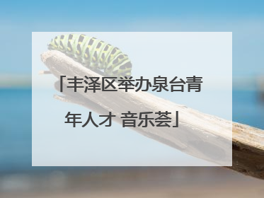 丰泽区举办泉台青年人才 音乐荟