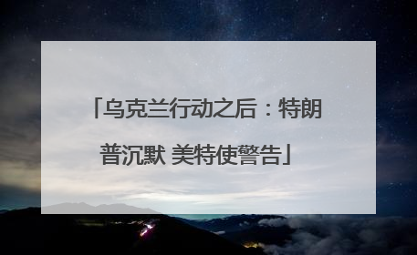 乌克兰行动之后：特朗普沉默 美特使警告