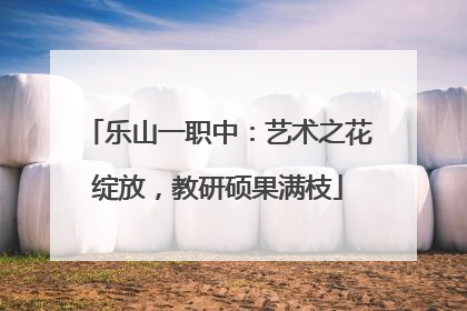 乐山一职中：艺术之花绽放，教研硕果满枝