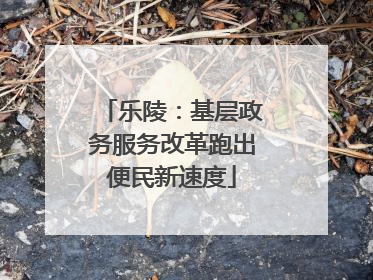 乐陵：基层政务服务改革跑出便民新速度