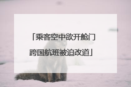 乘客空中欲开舱门 跨国航班被迫改道