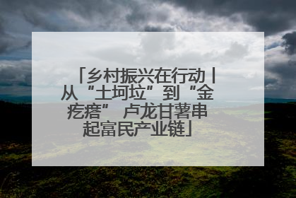 乡村振兴在行动丨从“土坷垃”到“金疙瘩” 卢龙甘薯串起富民产业链