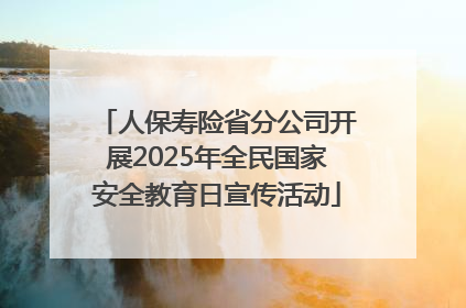 人保寿险省分公司开展2025年全民国家安全教育日宣传活动