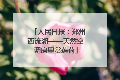 人民日报：郑州西流湖——天然空调房里赏莲荷