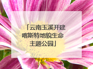 云南玉溪开建喀斯特地貌生命主题公园