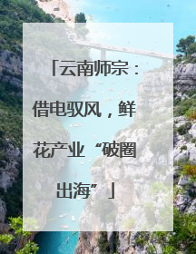 云南师宗：借电驭风，鲜花产业“破圈出海”
