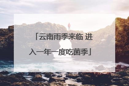 云南雨季来临 进入一年一度吃菌季