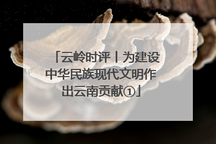 云岭时评丨为建设中华民族现代文明作出云南贡献①