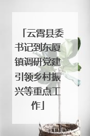 云霄县委书记到东厦镇调研党建引领乡村振兴等重点工作
