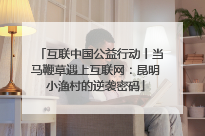 互联中国公益行动丨当马鞭草遇上互联网：昆明小渔村的逆袭密码