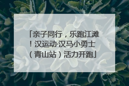 亲子同行，乐跑江滩！汉运动·汉马小勇士（青山站）活力开跑