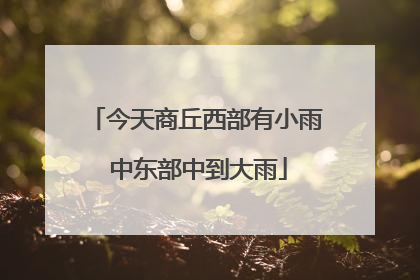 今天商丘西部有小雨 中东部中到大雨