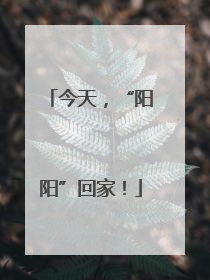 今天，“阳阳”回家！
