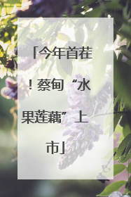 今年首茬！蔡甸“水果莲藕”上市