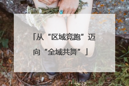 从“区域竞跑”迈向“全域共舞”