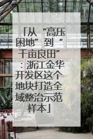 从“高压困地”到“千亩良田”：浙江金华开发区这个地块打造全域整治示范样本