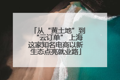 从“黄土地”到“云订单” 上海这家知名电商以新生态点亮就业路