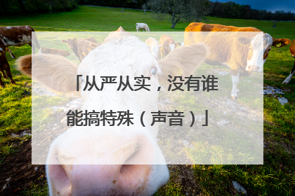 从严从实，没有谁能搞特殊（声音）