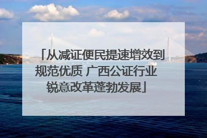 从减证便民提速增效到规范优质 广西公证行业锐意改革蓬勃发展