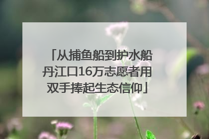 从捕鱼船到护水船 丹江口16万志愿者用双手捧起生态信仰