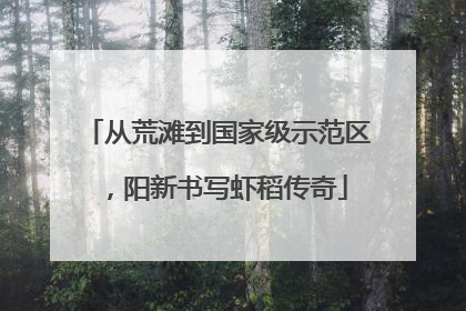 从荒滩到国家级示范区，阳新书写虾稻传奇