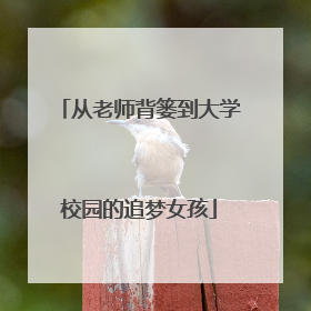 从老师背篓到大学校园的追梦女孩