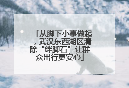 从脚下小事做起，武汉东西湖区清除“绊脚石”让群众出行更安心