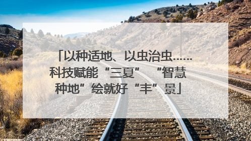 以种适地、以虫治虫……科技赋能“三夏” “智慧种地”绘就好“丰”景