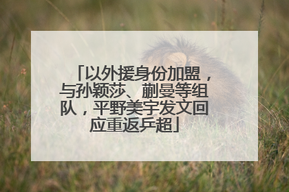 以外援身份加盟，与孙颖莎、蒯曼等组队，平野美宇发文回应重返乒超