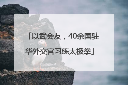 以武会友，40余国驻华外交官习练太极拳