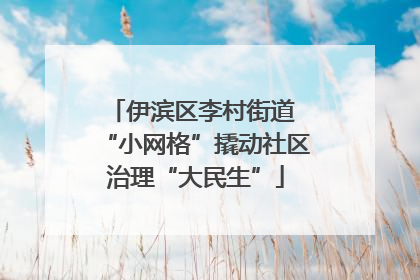 伊滨区李村街道 “小网格”撬动社区治理“大民生”