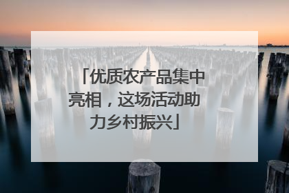 优质农产品集中亮相，这场活动助力乡村振兴
